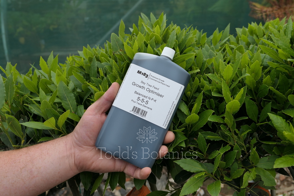 M183 Bay Tree Feed - Concentrated