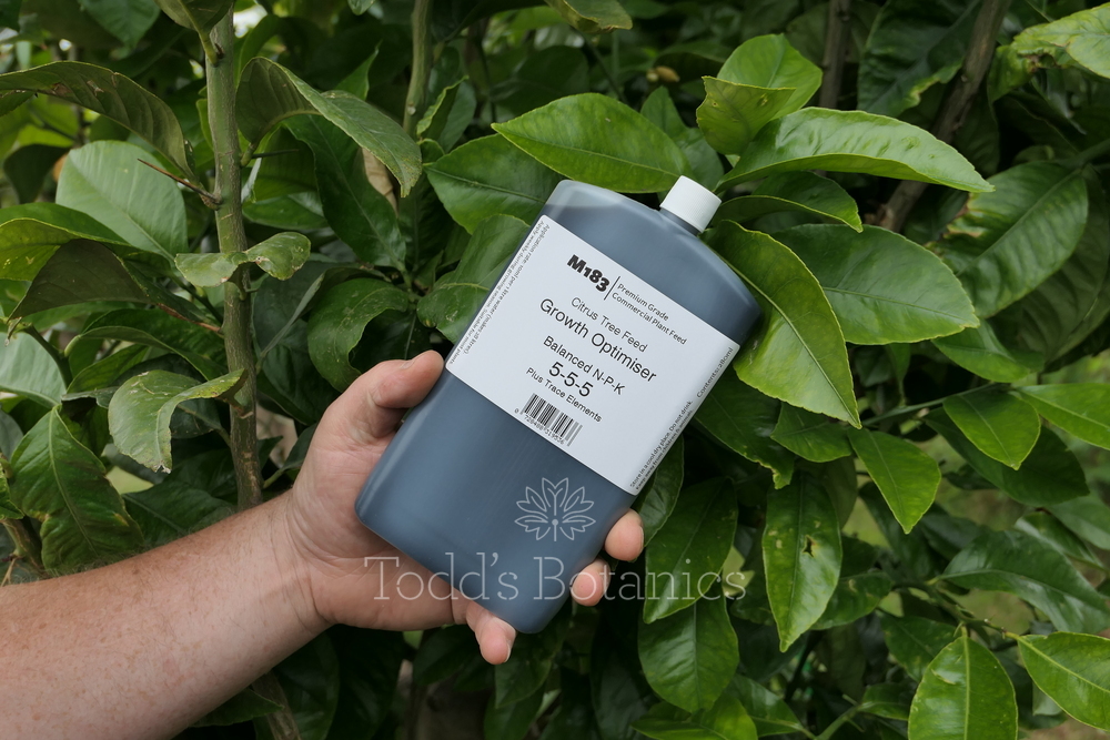 M183 Citrus Tree Feed - Concentrated