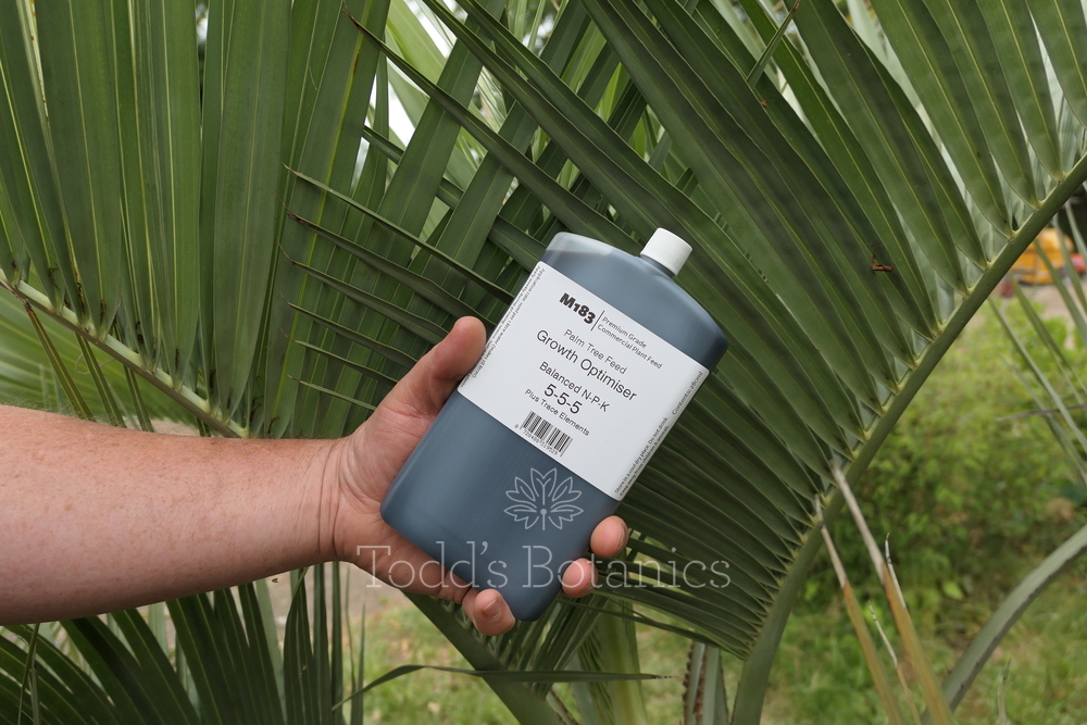 M183 Palm Tree Feed - Concentrated