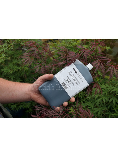 M183 Acer Tree Feed (Maples) - Concentrated