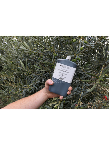 M183 Olive Tree Feed - Concentrated
