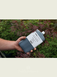 M183 Acer Tree Feed (Maples) - Concentrated